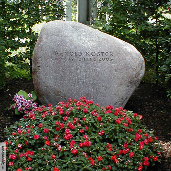 Wissen: Felsen und Findlinge