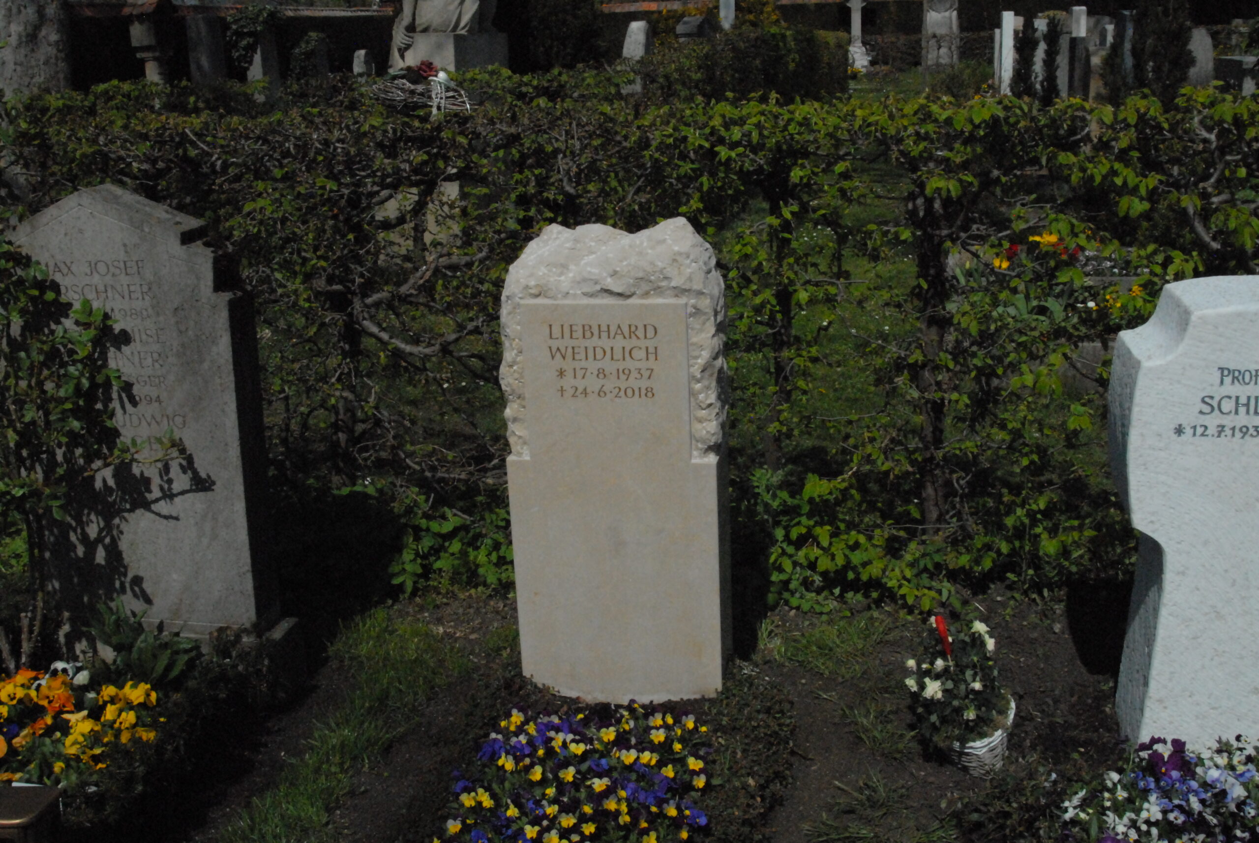 Felsen trifft Geometrie